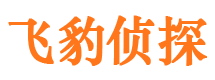 鄯善市调查公司